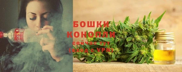 ПСИЛОЦИБИНОВЫЕ ГРИБЫ Алексеевка
