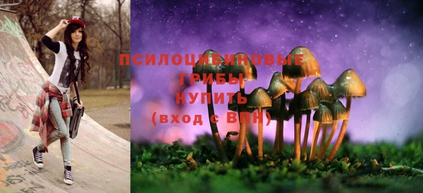 ПСИЛОЦИБИНОВЫЕ ГРИБЫ Алексеевка