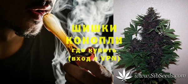 трава Сатка