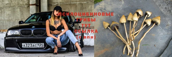 каннабис Алексин