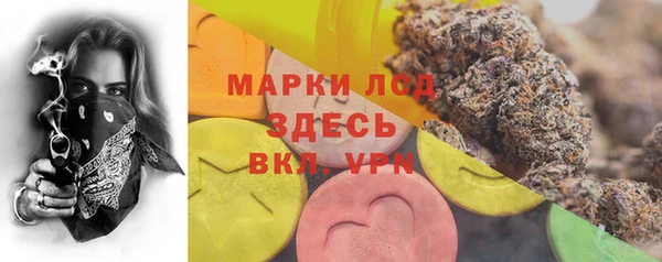 ПСИЛОЦИБИНОВЫЕ ГРИБЫ Алексеевка