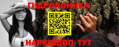 гашик Анжеро-Судженск