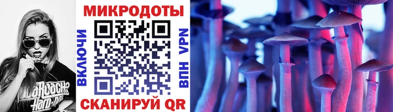 Псилоцибиновые грибы Cubensis  Анжеро-Судженск 
