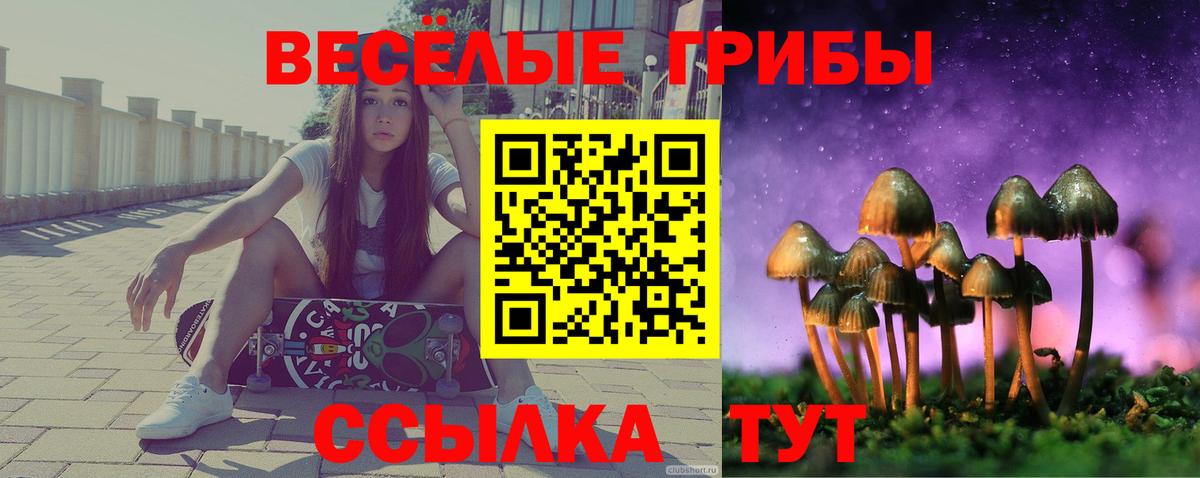 Псилоцибиновые грибы MAGIC MUSHROOMS  Вход с VPN  Анжеро-Судженск 