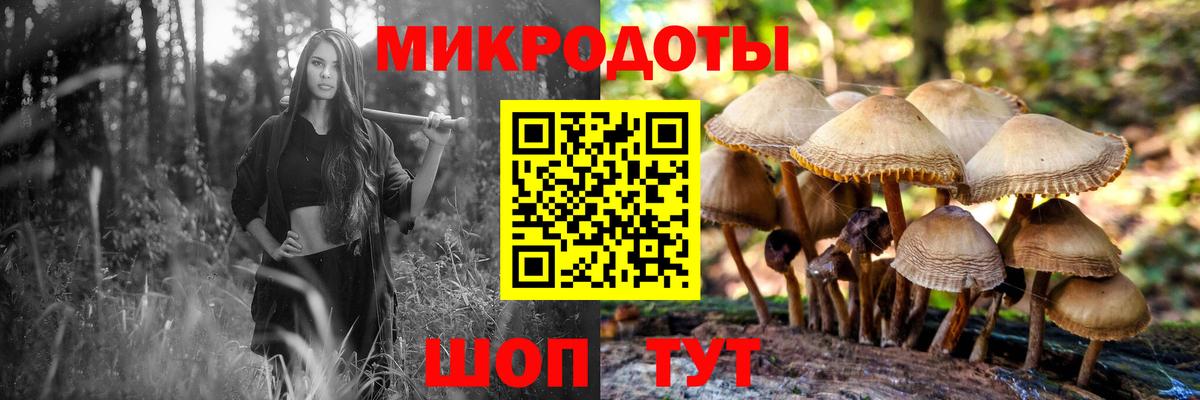 Псилоцибиновые грибы Psilocybine cubensis Анжеро-Судженск