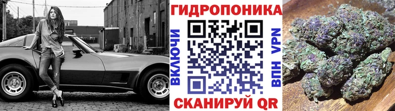 кракен зеркало  Анжеро-Судженск  Канабис Ganja  купить  
